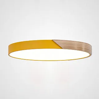 Светильник потолочный ImperiumLoft Clip01 193052-26