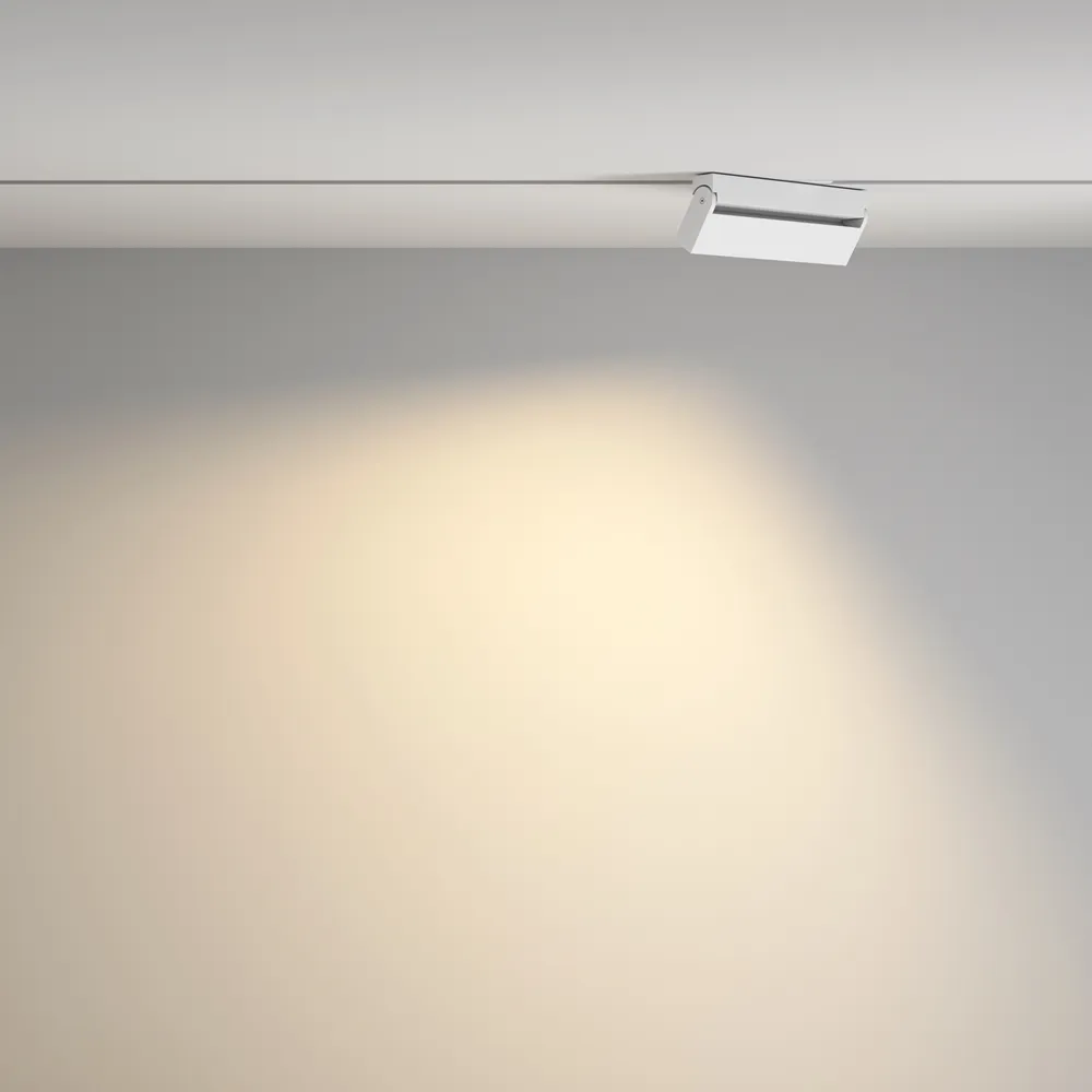 Светильник трековый магнитный Maytoni Points Rot TR077-2-20W3K-W