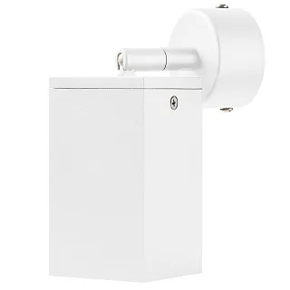 Светильник с комплектом Lightstar Rullo RB336