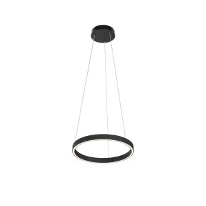 Подвесной светильник Maytoni MOD058PL-L22BK