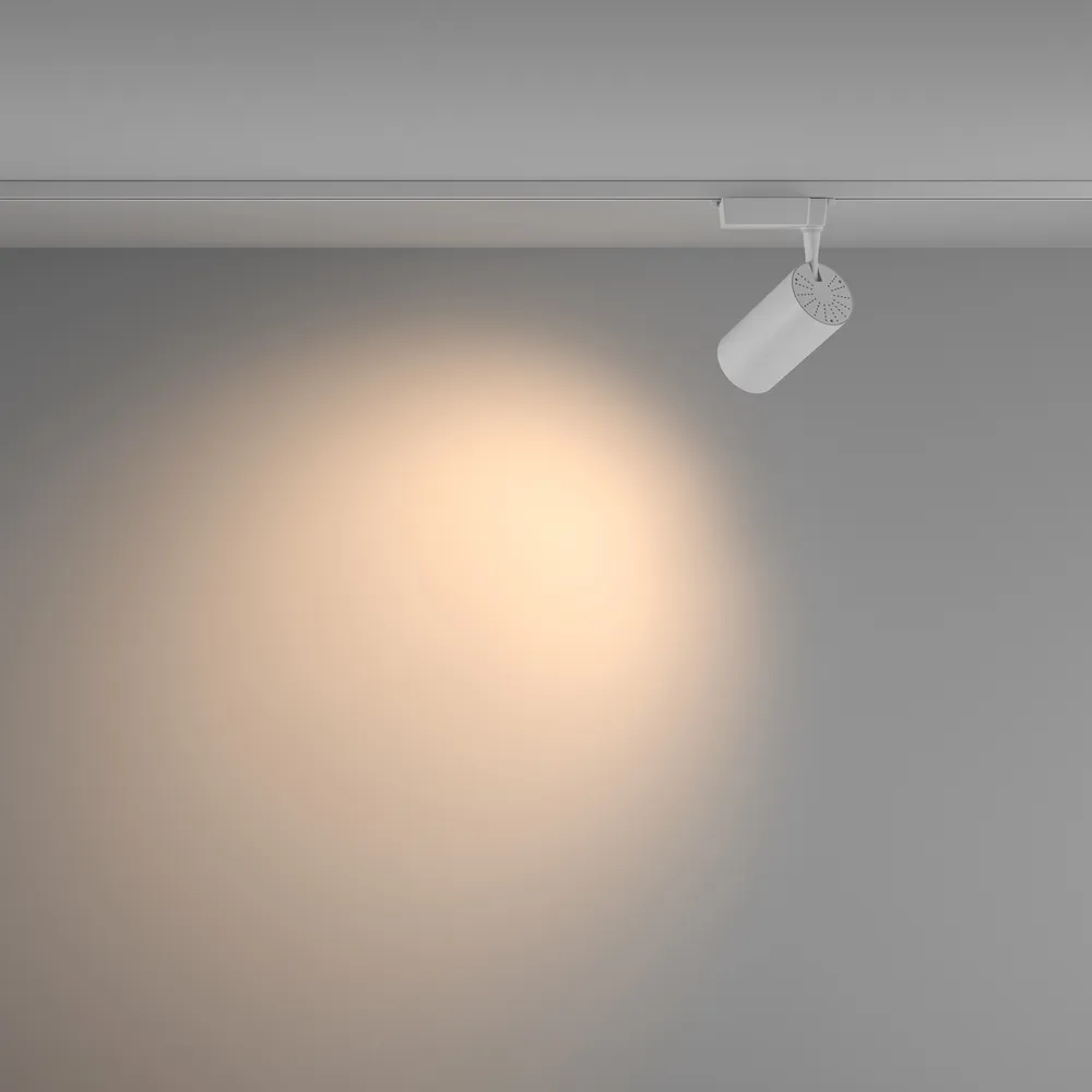 Светильник трековый Maytoni Vuoro TR003-1-36W3K-W-W
