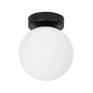 Настенно-потолочный светильник Arte Lamp ALCOR A2224PL-1BK