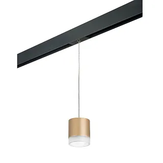 Светильник с комплектом для трека Lightstar Rullo PRORP349080