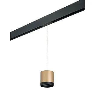 Светильник с комплектом для трека Lightstar Rullo PRORP34903487