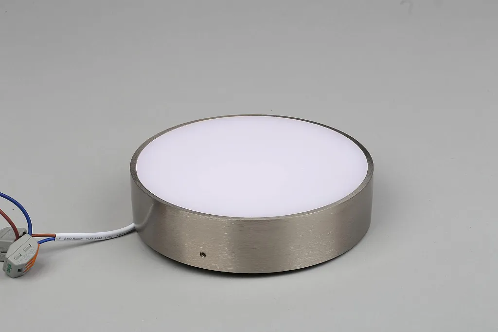 Светильник потолочный Aployt Evon APL.0114.19.18