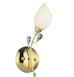 Бра Odeon Light Fiera 1604/1W