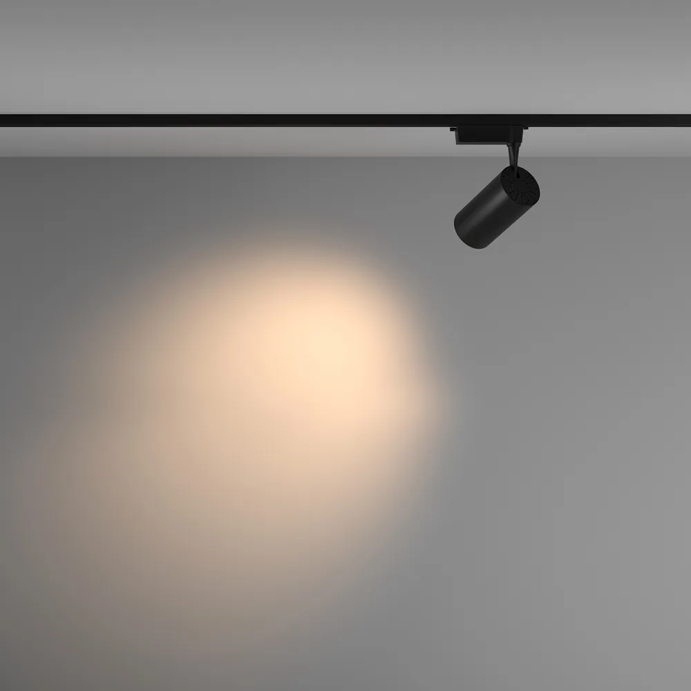 Светильник трековый Maytoni Vuoro TR003-1-36W3K-M-B