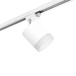 Светильник с комплектом Lightstar Rullo R1T348680