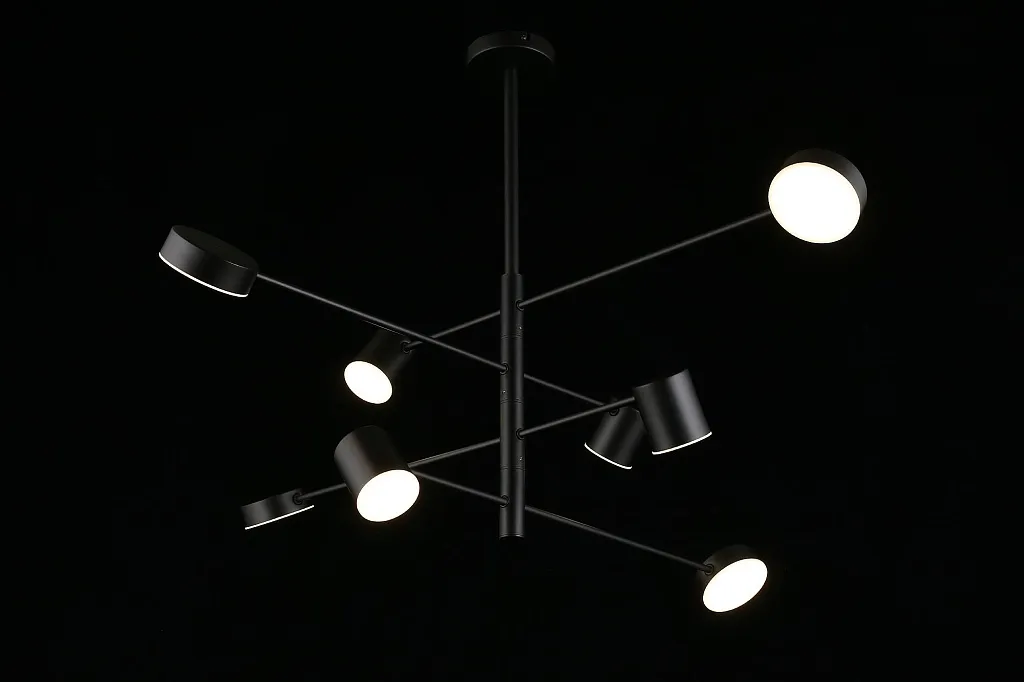 Люстра потолочная Aployt Frania APL.017.07.48