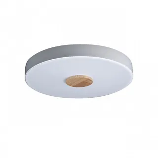 Светильник потолочный Loft it Axel 10003/24 White