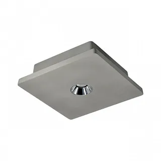 Светильник накладной Loft it Architect OL1072-GH/1