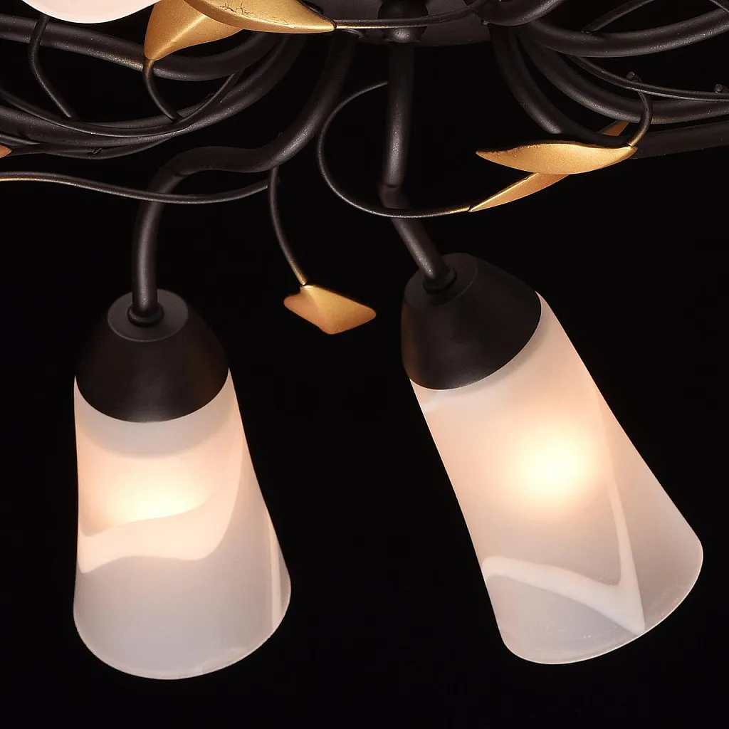 Люстра потолочная MW-Light Восторг 242015410