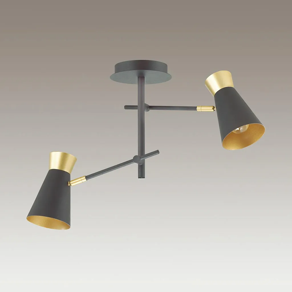 Люстра потолочная Lumion Liam 3790/2C