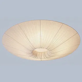 Светильник потолочный L'Arte Luce Luxo L17258.23