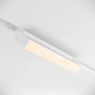 Светильник трековый магнитный Maytoni Basis Rot TR013-2-20W3K-W