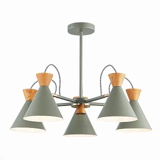 Светильник потолочный Evoluce Modica SLE125112-05