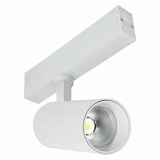 Светильник трековый ST-Luce Skyline 220 ST660.596.10