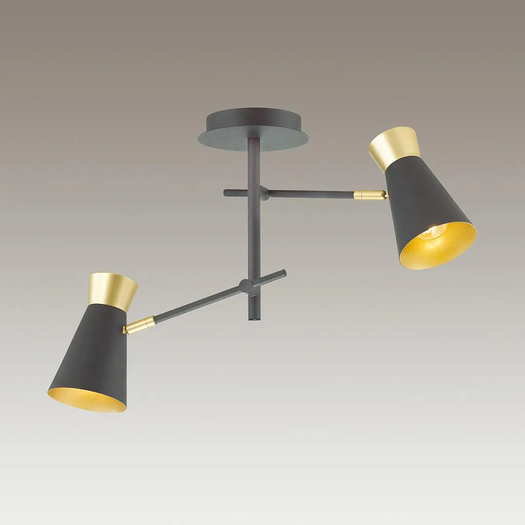 Люстра потолочная Lumion Liam 3790/2C