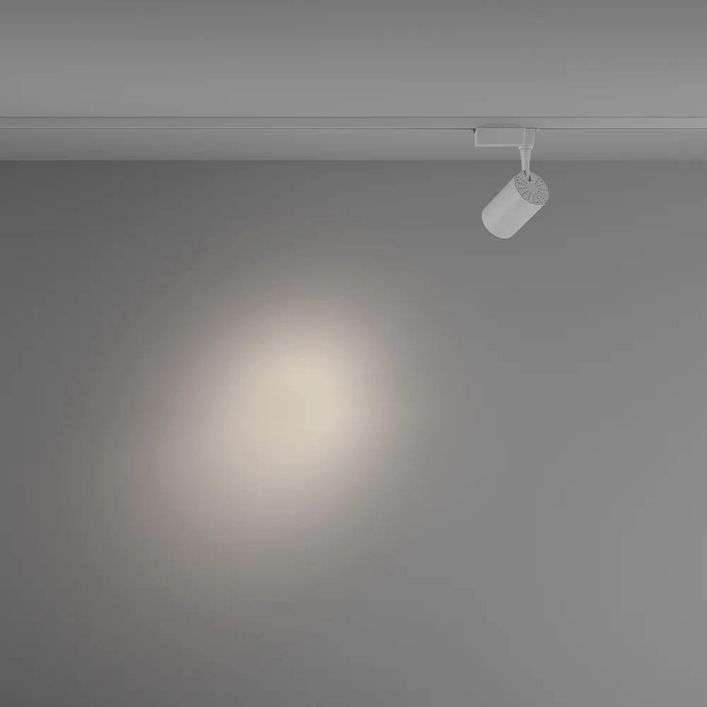 Светильник трековый Maytoni Vuoro TR003-1-10W4K-S-W