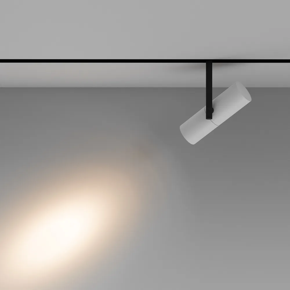 Светильник трековый магнитный Maytoni Elti TR005-2-12W3K-BW