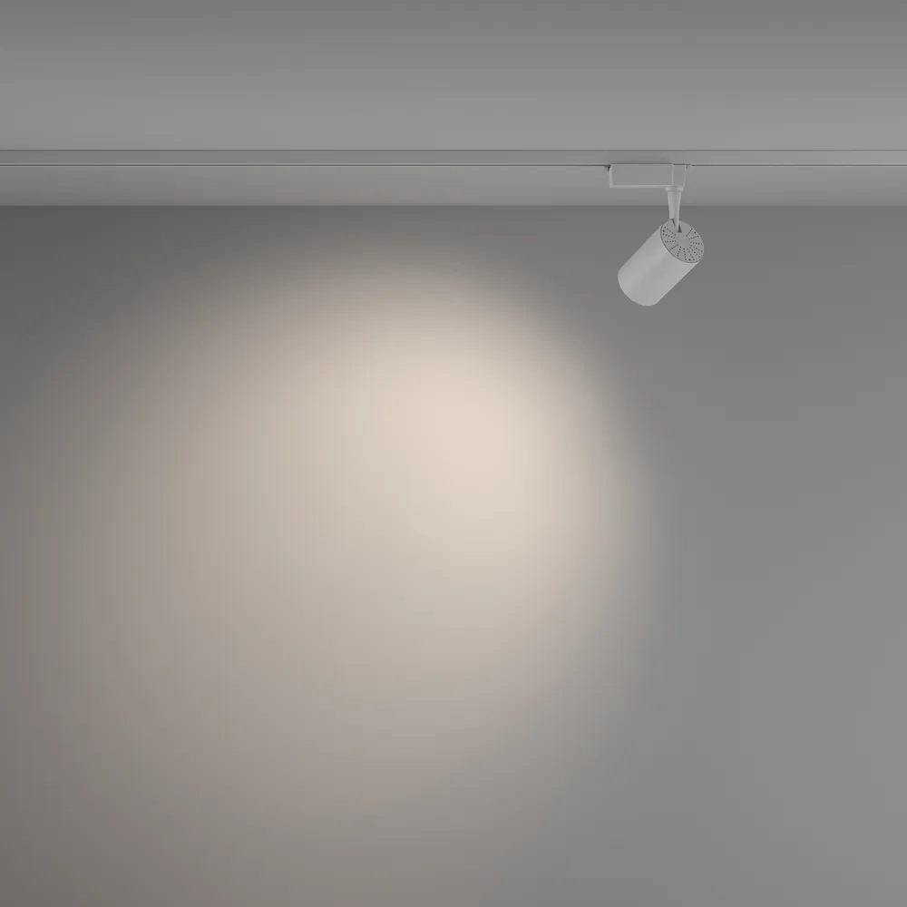 Светильник трековый Maytoni Vuoro TR003-1-10W4K-W-W