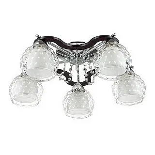 Люстра потолочная Lumion Ampolla 3081/5C