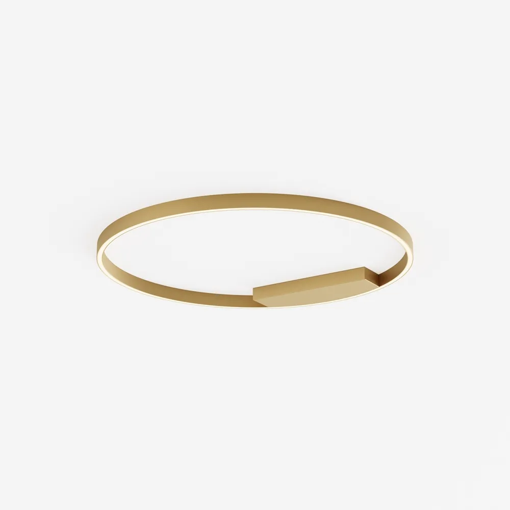 Потолочный светильник Maytoni MOD058CL-L50BSK