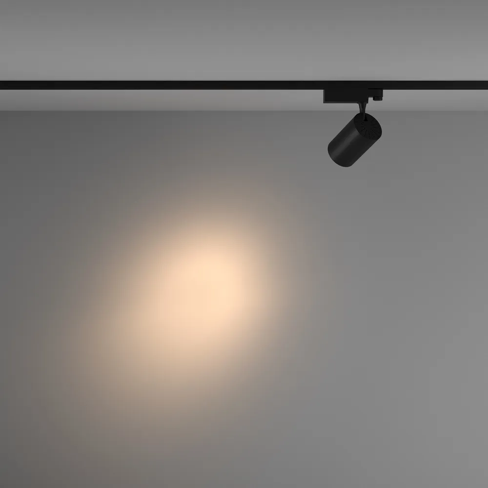 Светильник трековый Maytoni Vuoro TR029-3-20W3K-S-B