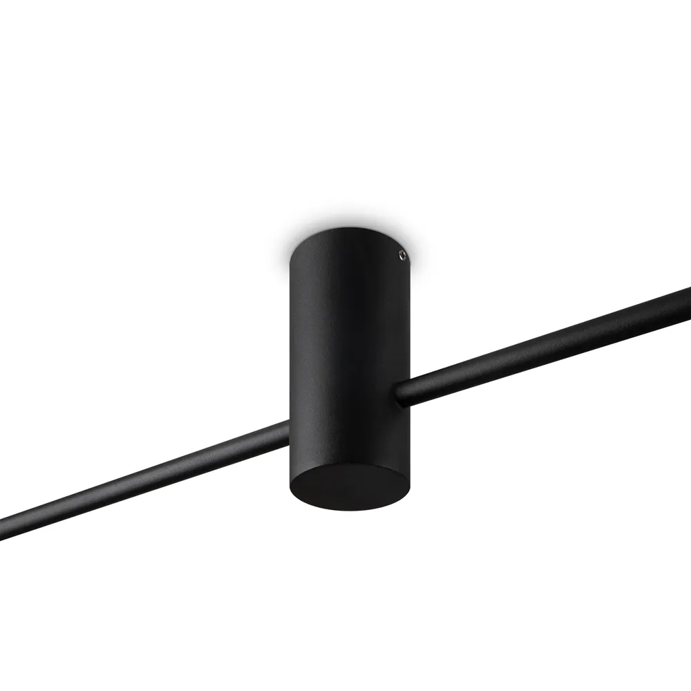 Потолочный светильник Freya FR5363CL-02B1