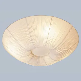 Светильник потолочный L'Arte Luce Luxo L17256.23