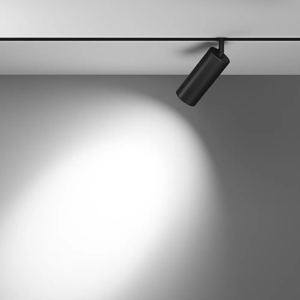 Светильник трековый магнитный Maytoni Focus Led TR032-2-20W4K-S-B