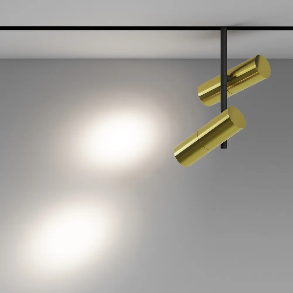 Светильник трековый магнитный Maytoni Elti Duo TR005-2-2X12W4K-BBS