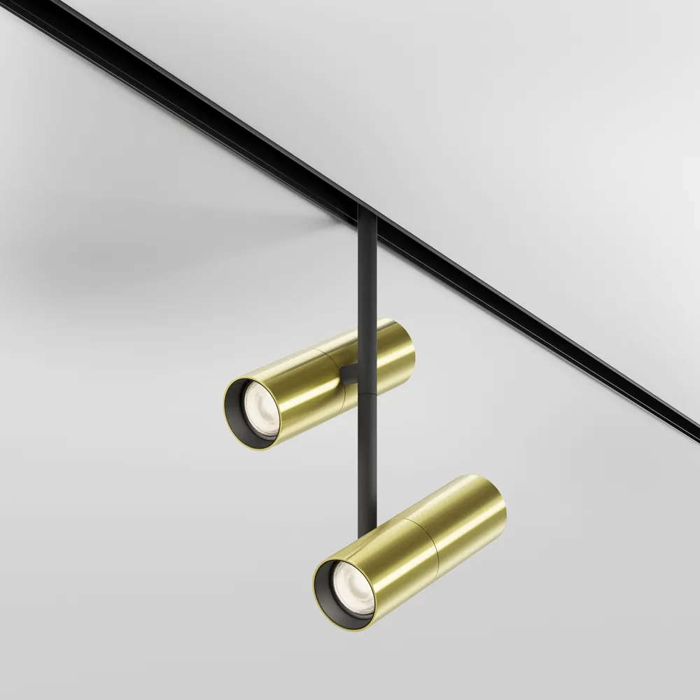 Светильник трековый магнитный Maytoni Elti Duo TR005-2-2X12W3K-BBS