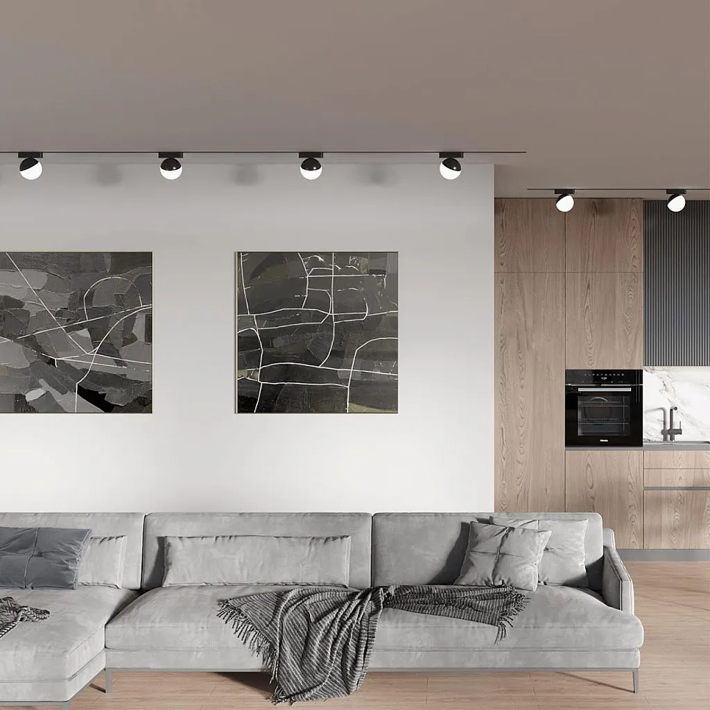 Светильник трековый Novotech Smal 359262