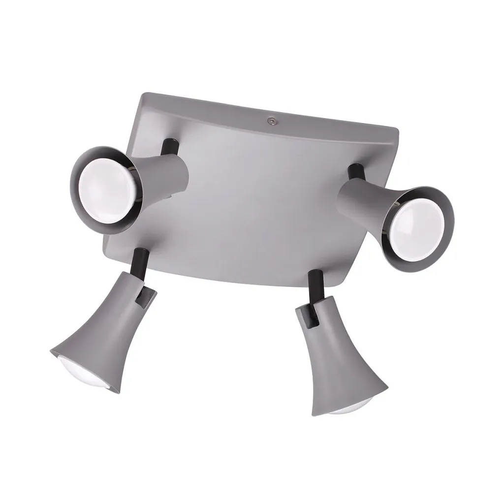 Спот Odeon Light Reanna 3825/4C