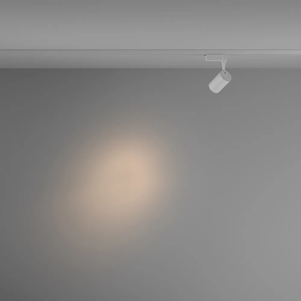 Светильник трековый Maytoni Vuoro TR003-1-6W3K-S-W