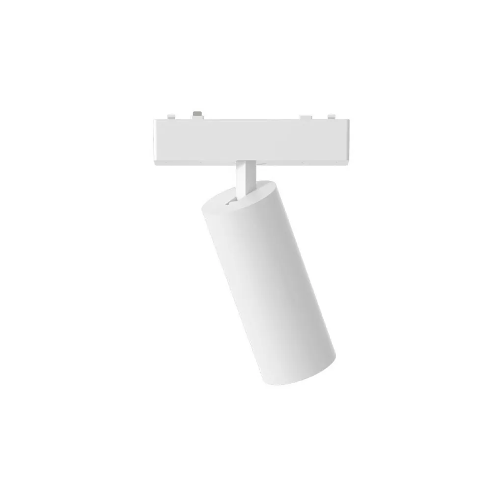 Светильник трековый магнитный Aployt Magnetic track 48 APL.0113.10.09