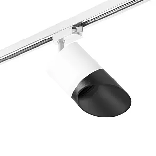 Светильник с комплектом Lightstar Rullo R1T348687