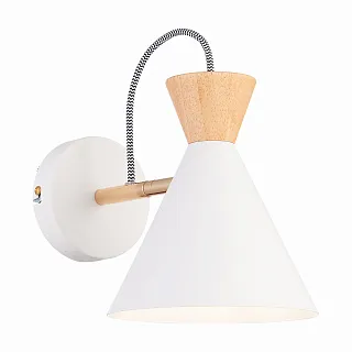 Светильник настенный Evoluce Modica SLE125101-01