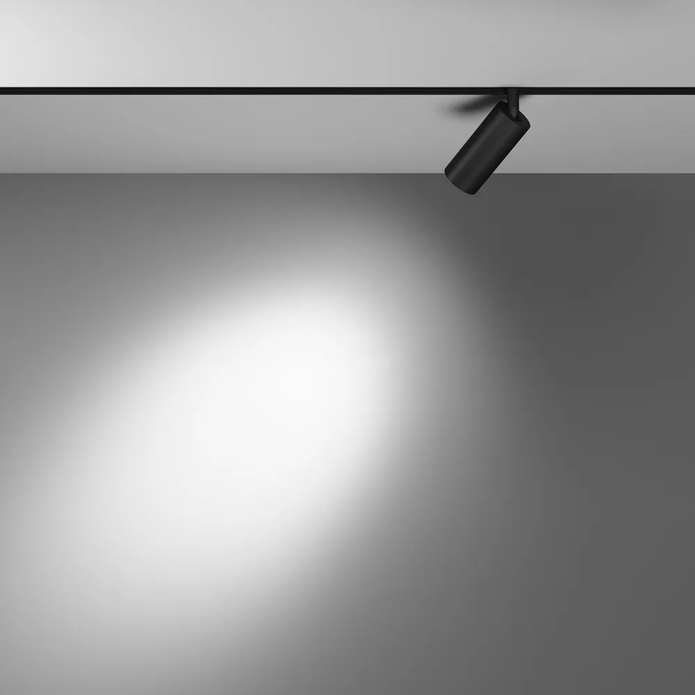 Светильник трековый магнитный Maytoni Focus Led TR032-4-5WTW-S-DD-B