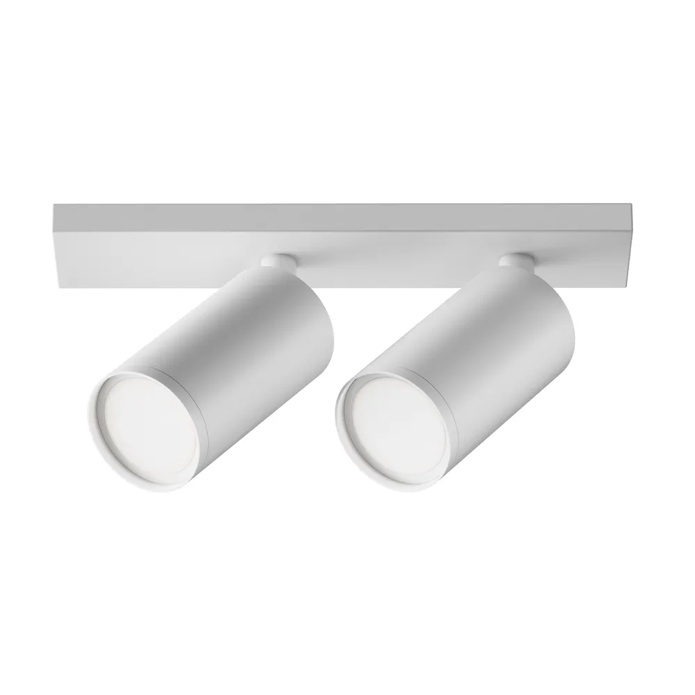 Светильник потолочный Maytoni Focus S C051CL-U-2W