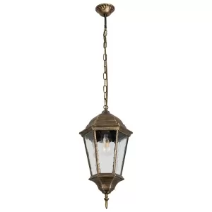 Уличный подвесной светильник Arte Lamp GENOVA A1204SO-1BN