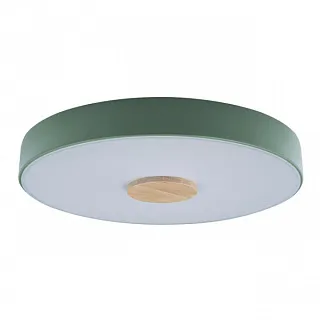 Светильник потолочный Loft it Axel 10003/24 Green