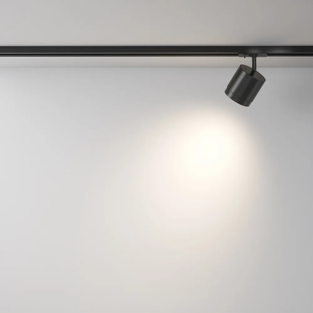 Светильник трековый Maytoni Polar TR088-1-GX53-B