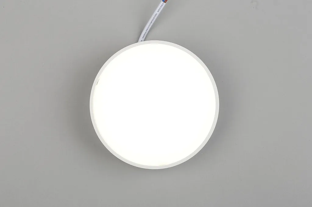 Светильник потолочный Aployt Evon APL.0114.09.12