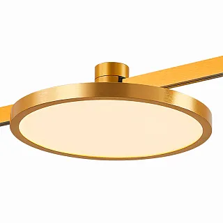 Светильник трековый магнитный ST-Luce Farm ST818.206.12