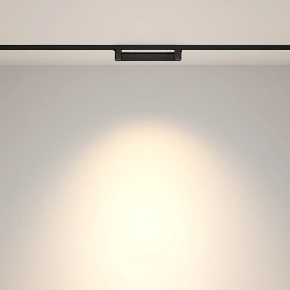 Светильник трековый Maytoni Points Rot TR010-1-10W4K-M-B