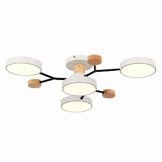 Светильник потолочный Evoluce Faema SLE6006-502-04