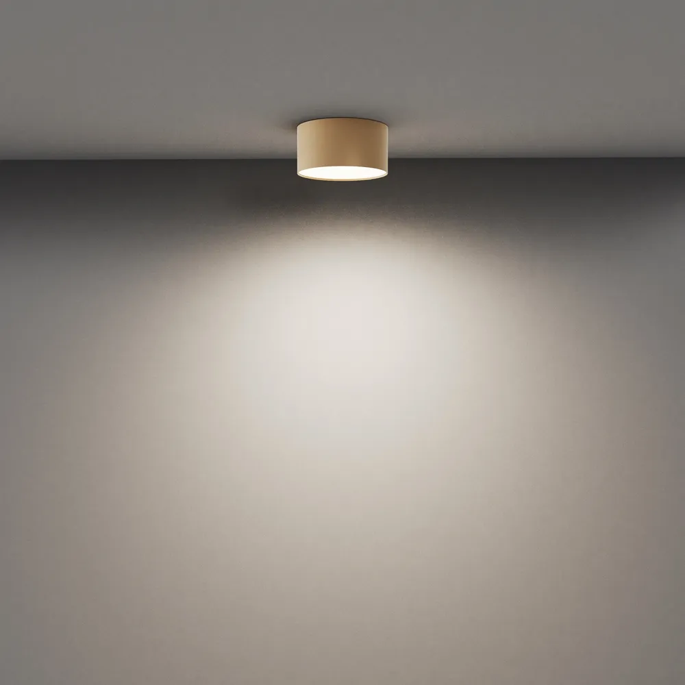 Светильник потолочный Maytoni Zon C032CL-12W4K-RD-MG