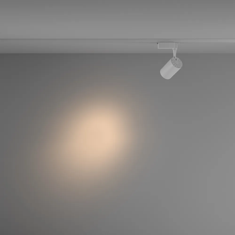 Светильник трековый Maytoni Vuoro TR003-1-10W3K-S-W